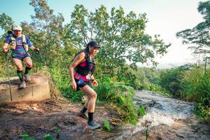 BIB: 
                            <button type="button" onclick="openModal(25680824)" class="btn btn-primary btn-sm float-right btn-popup" data-toggle="modal" data-target=".modal-high-quality">
                        <i class="fas fa-shopping-cart"></i> Add to Cart
                    </button>
                                            <button type="button" onclick="isThisMe(25680824, true)" class="btn btn-success btn-sm float-right btn-popup btn-isme hidden" data-toggle="tooltip" data-placement="bottom" title="นี่คือรูปของคุณใช่ไหม คลิกที่นี่เพื่อเอาเข้าอัลบั้ม">
                        <i class="fas fa-plus"></i> Add to album
                    </button>
                    <button type="button" onclick="isThisMe(25680824, false)" class="btn btn-warning btn-sm float-right btn-popup btn-isnotme hidden">
                        <i class="fas fa-ban"></i> Remove from album
                    </button>