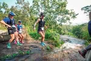 BIB: 
                            <button type="button" onclick="openModal(25688922)" class="btn btn-primary btn-sm float-right btn-popup" data-toggle="modal" data-target=".modal-high-quality">
                        <i class="fas fa-shopping-cart"></i> Add to Cart
                    </button>
                                            <button type="button" onclick="isThisMe(25688922, true)" class="btn btn-success btn-sm float-right btn-popup btn-isme hidden" data-toggle="tooltip" data-placement="bottom" title="นี่คือรูปของคุณใช่ไหม คลิกที่นี่เพื่อเอาเข้าอัลบั้ม">
                        <i class="fas fa-plus"></i> Add to album
                    </button>
                    <button type="button" onclick="isThisMe(25688922, false)" class="btn btn-warning btn-sm float-right btn-popup btn-isnotme hidden">
                        <i class="fas fa-ban"></i> Remove from album
                    </button>