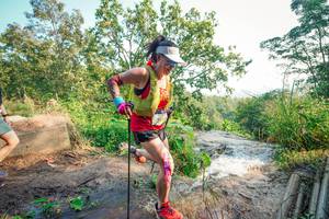 BIB: 
                            <button type="button" onclick="openModal(25700037)" class="btn btn-primary btn-sm float-right btn-popup" data-toggle="modal" data-target=".modal-high-quality">
                        <i class="fas fa-shopping-cart"></i> Add to Cart
                    </button>
                                            <button type="button" onclick="isThisMe(25700037, true)" class="btn btn-success btn-sm float-right btn-popup btn-isme hidden" data-toggle="tooltip" data-placement="bottom" title="นี่คือรูปของคุณใช่ไหม คลิกที่นี่เพื่อเอาเข้าอัลบั้ม">
                        <i class="fas fa-plus"></i> Add to album
                    </button>
                    <button type="button" onclick="isThisMe(25700037, false)" class="btn btn-warning btn-sm float-right btn-popup btn-isnotme hidden">
                        <i class="fas fa-ban"></i> Remove from album
                    </button>