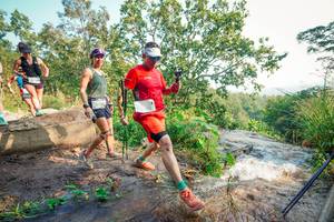 BIB: 
                            <button type="button" onclick="openModal(25688766)" class="btn btn-primary btn-sm float-right btn-popup" data-toggle="modal" data-target=".modal-high-quality">
                        <i class="fas fa-shopping-cart"></i> Add to Cart
                    </button>
                                            <button type="button" onclick="isThisMe(25688766, true)" class="btn btn-success btn-sm float-right btn-popup btn-isme hidden" data-toggle="tooltip" data-placement="bottom" title="นี่คือรูปของคุณใช่ไหม คลิกที่นี่เพื่อเอาเข้าอัลบั้ม">
                        <i class="fas fa-plus"></i> Add to album
                    </button>
                    <button type="button" onclick="isThisMe(25688766, false)" class="btn btn-warning btn-sm float-right btn-popup btn-isnotme hidden">
                        <i class="fas fa-ban"></i> Remove from album
                    </button>