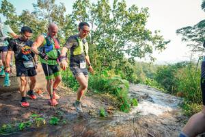 BIB: 
                            <button type="button" onclick="openModal(25696774)" class="btn btn-primary btn-sm float-right btn-popup" data-toggle="modal" data-target=".modal-high-quality">
                        <i class="fas fa-shopping-cart"></i> Add to Cart
                    </button>
                                            <button type="button" onclick="isThisMe(25696774, true)" class="btn btn-success btn-sm float-right btn-popup btn-isme hidden" data-toggle="tooltip" data-placement="bottom" title="นี่คือรูปของคุณใช่ไหม คลิกที่นี่เพื่อเอาเข้าอัลบั้ม">
                        <i class="fas fa-plus"></i> Add to album
                    </button>
                    <button type="button" onclick="isThisMe(25696774, false)" class="btn btn-warning btn-sm float-right btn-popup btn-isnotme hidden">
                        <i class="fas fa-ban"></i> Remove from album
                    </button>