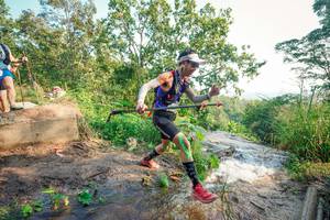 BIB: 
                            <button type="button" onclick="openModal(25702075)" class="btn btn-primary btn-sm float-right btn-popup" data-toggle="modal" data-target=".modal-high-quality">
                        <i class="fas fa-shopping-cart"></i> Add to Cart
                    </button>
                                            <button type="button" onclick="isThisMe(25702075, true)" class="btn btn-success btn-sm float-right btn-popup btn-isme hidden" data-toggle="tooltip" data-placement="bottom" title="นี่คือรูปของคุณใช่ไหม คลิกที่นี่เพื่อเอาเข้าอัลบั้ม">
                        <i class="fas fa-plus"></i> Add to album
                    </button>
                    <button type="button" onclick="isThisMe(25702075, false)" class="btn btn-warning btn-sm float-right btn-popup btn-isnotme hidden">
                        <i class="fas fa-ban"></i> Remove from album
                    </button>