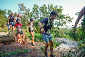 BIB: 
                            <button type="button" onclick="openModal(25678241)" class="btn btn-primary btn-sm float-right btn-popup" data-toggle="modal" data-target=".modal-high-quality">
                        <i class="fas fa-shopping-cart"></i> Add to Cart
                    </button>
                                            <button type="button" onclick="isThisMe(25678241, true)" class="btn btn-success btn-sm float-right btn-popup btn-isme hidden" data-toggle="tooltip" data-placement="bottom" title="นี่คือรูปของคุณใช่ไหม คลิกที่นี่เพื่อเอาเข้าอัลบั้ม">
                        <i class="fas fa-plus"></i> Add to album
                    </button>
                    <button type="button" onclick="isThisMe(25678241, false)" class="btn btn-warning btn-sm float-right btn-popup btn-isnotme hidden">
                        <i class="fas fa-ban"></i> Remove from album
                    </button>