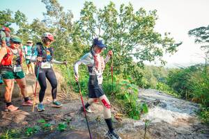 BIB: 
                            <button type="button" onclick="openModal(25706770)" class="btn btn-primary btn-sm float-right btn-popup" data-toggle="modal" data-target=".modal-high-quality">
                        <i class="fas fa-shopping-cart"></i> Add to Cart
                    </button>
                                            <button type="button" onclick="isThisMe(25706770, true)" class="btn btn-success btn-sm float-right btn-popup btn-isme hidden" data-toggle="tooltip" data-placement="bottom" title="นี่คือรูปของคุณใช่ไหม คลิกที่นี่เพื่อเอาเข้าอัลบั้ม">
                        <i class="fas fa-plus"></i> Add to album
                    </button>
                    <button type="button" onclick="isThisMe(25706770, false)" class="btn btn-warning btn-sm float-right btn-popup btn-isnotme hidden">
                        <i class="fas fa-ban"></i> Remove from album
                    </button>