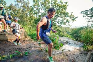 BIB: 
                            <button type="button" onclick="openModal(25698874)" class="btn btn-primary btn-sm float-right btn-popup" data-toggle="modal" data-target=".modal-high-quality">
                        <i class="fas fa-shopping-cart"></i> Add to Cart
                    </button>
                                            <button type="button" onclick="isThisMe(25698874, true)" class="btn btn-success btn-sm float-right btn-popup btn-isme hidden" data-toggle="tooltip" data-placement="bottom" title="นี่คือรูปของคุณใช่ไหม คลิกที่นี่เพื่อเอาเข้าอัลบั้ม">
                        <i class="fas fa-plus"></i> Add to album
                    </button>
                    <button type="button" onclick="isThisMe(25698874, false)" class="btn btn-warning btn-sm float-right btn-popup btn-isnotme hidden">
                        <i class="fas fa-ban"></i> Remove from album
                    </button>