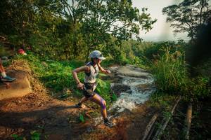 BIB: 
                            <button type="button" onclick="openModal(25674305)" class="btn btn-primary btn-sm float-right btn-popup" data-toggle="modal" data-target=".modal-high-quality">
                        <i class="fas fa-shopping-cart"></i> Add to Cart
                    </button>
                                            <button type="button" onclick="isThisMe(25674305, true)" class="btn btn-success btn-sm float-right btn-popup btn-isme hidden" data-toggle="tooltip" data-placement="bottom" title="นี่คือรูปของคุณใช่ไหม คลิกที่นี่เพื่อเอาเข้าอัลบั้ม">
                        <i class="fas fa-plus"></i> Add to album
                    </button>
                    <button type="button" onclick="isThisMe(25674305, false)" class="btn btn-warning btn-sm float-right btn-popup btn-isnotme hidden">
                        <i class="fas fa-ban"></i> Remove from album
                    </button>