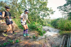 BIB: 
                            <button type="button" onclick="openModal(25711103)" class="btn btn-primary btn-sm float-right btn-popup" data-toggle="modal" data-target=".modal-high-quality">
                        <i class="fas fa-shopping-cart"></i> Add to Cart
                    </button>
                                            <button type="button" onclick="isThisMe(25711103, true)" class="btn btn-success btn-sm float-right btn-popup btn-isme hidden" data-toggle="tooltip" data-placement="bottom" title="นี่คือรูปของคุณใช่ไหม คลิกที่นี่เพื่อเอาเข้าอัลบั้ม">
                        <i class="fas fa-plus"></i> Add to album
                    </button>
                    <button type="button" onclick="isThisMe(25711103, false)" class="btn btn-warning btn-sm float-right btn-popup btn-isnotme hidden">
                        <i class="fas fa-ban"></i> Remove from album
                    </button>