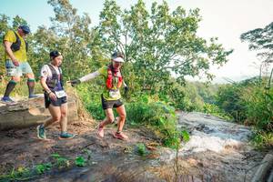 BIB: 
                            <button type="button" onclick="openModal(25686842)" class="btn btn-primary btn-sm float-right btn-popup" data-toggle="modal" data-target=".modal-high-quality">
                        <i class="fas fa-shopping-cart"></i> Add to Cart
                    </button>
                                            <button type="button" onclick="isThisMe(25686842, true)" class="btn btn-success btn-sm float-right btn-popup btn-isme hidden" data-toggle="tooltip" data-placement="bottom" title="นี่คือรูปของคุณใช่ไหม คลิกที่นี่เพื่อเอาเข้าอัลบั้ม">
                        <i class="fas fa-plus"></i> Add to album
                    </button>
                    <button type="button" onclick="isThisMe(25686842, false)" class="btn btn-warning btn-sm float-right btn-popup btn-isnotme hidden">
                        <i class="fas fa-ban"></i> Remove from album
                    </button>