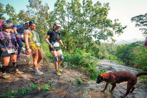 BIB: 
                            <button type="button" onclick="openModal(25704933)" class="btn btn-primary btn-sm float-right btn-popup" data-toggle="modal" data-target=".modal-high-quality">
                        <i class="fas fa-shopping-cart"></i> Add to Cart
                    </button>
                                            <button type="button" onclick="isThisMe(25704933, true)" class="btn btn-success btn-sm float-right btn-popup btn-isme hidden" data-toggle="tooltip" data-placement="bottom" title="นี่คือรูปของคุณใช่ไหม คลิกที่นี่เพื่อเอาเข้าอัลบั้ม">
                        <i class="fas fa-plus"></i> Add to album
                    </button>
                    <button type="button" onclick="isThisMe(25704933, false)" class="btn btn-warning btn-sm float-right btn-popup btn-isnotme hidden">
                        <i class="fas fa-ban"></i> Remove from album
                    </button>