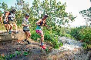 BIB: 
                            <button type="button" onclick="openModal(25692350)" class="btn btn-primary btn-sm float-right btn-popup" data-toggle="modal" data-target=".modal-high-quality">
                        <i class="fas fa-shopping-cart"></i> Add to Cart
                    </button>
                                            <button type="button" onclick="isThisMe(25692350, true)" class="btn btn-success btn-sm float-right btn-popup btn-isme hidden" data-toggle="tooltip" data-placement="bottom" title="นี่คือรูปของคุณใช่ไหม คลิกที่นี่เพื่อเอาเข้าอัลบั้ม">
                        <i class="fas fa-plus"></i> Add to album
                    </button>
                    <button type="button" onclick="isThisMe(25692350, false)" class="btn btn-warning btn-sm float-right btn-popup btn-isnotme hidden">
                        <i class="fas fa-ban"></i> Remove from album
                    </button>