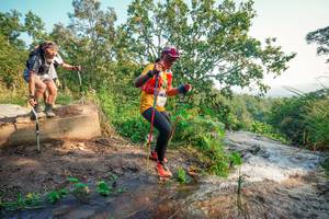 BIB: 
                            <button type="button" onclick="openModal(25681147)" class="btn btn-primary btn-sm float-right btn-popup" data-toggle="modal" data-target=".modal-high-quality">
                        <i class="fas fa-shopping-cart"></i> Add to Cart
                    </button>
                                            <button type="button" onclick="isThisMe(25681147, true)" class="btn btn-success btn-sm float-right btn-popup btn-isme hidden" data-toggle="tooltip" data-placement="bottom" title="นี่คือรูปของคุณใช่ไหม คลิกที่นี่เพื่อเอาเข้าอัลบั้ม">
                        <i class="fas fa-plus"></i> Add to album
                    </button>
                    <button type="button" onclick="isThisMe(25681147, false)" class="btn btn-warning btn-sm float-right btn-popup btn-isnotme hidden">
                        <i class="fas fa-ban"></i> Remove from album
                    </button>