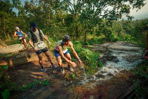 BIB: 
                            <button type="button" onclick="openModal(25675752)" class="btn btn-primary btn-sm float-right btn-popup" data-toggle="modal" data-target=".modal-high-quality">
                        <i class="fas fa-shopping-cart"></i> Add to Cart
                    </button>
                                            <button type="button" onclick="isThisMe(25675752, true)" class="btn btn-success btn-sm float-right btn-popup btn-isme hidden" data-toggle="tooltip" data-placement="bottom" title="นี่คือรูปของคุณใช่ไหม คลิกที่นี่เพื่อเอาเข้าอัลบั้ม">
                        <i class="fas fa-plus"></i> Add to album
                    </button>
                    <button type="button" onclick="isThisMe(25675752, false)" class="btn btn-warning btn-sm float-right btn-popup btn-isnotme hidden">
                        <i class="fas fa-ban"></i> Remove from album
                    </button>