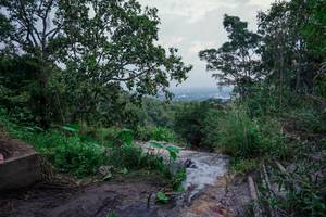 BIB: 
                            <button type="button" onclick="openModal(25666599)" class="btn btn-primary btn-sm float-right btn-popup" data-toggle="modal" data-target=".modal-high-quality">
                        <i class="fas fa-shopping-cart"></i> Add to Cart
                    </button>
                                            <button type="button" onclick="isThisMe(25666599, true)" class="btn btn-success btn-sm float-right btn-popup btn-isme hidden" data-toggle="tooltip" data-placement="bottom" title="นี่คือรูปของคุณใช่ไหม คลิกที่นี่เพื่อเอาเข้าอัลบั้ม">
                        <i class="fas fa-plus"></i> Add to album
                    </button>
                    <button type="button" onclick="isThisMe(25666599, false)" class="btn btn-warning btn-sm float-right btn-popup btn-isnotme hidden">
                        <i class="fas fa-ban"></i> Remove from album
                    </button>