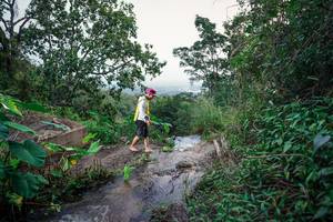 BIB: 
                            <button type="button" onclick="openModal(25666620)" class="btn btn-primary btn-sm float-right btn-popup" data-toggle="modal" data-target=".modal-high-quality">
                        <i class="fas fa-shopping-cart"></i> Add to Cart
                    </button>
                                            <button type="button" onclick="isThisMe(25666620, true)" class="btn btn-success btn-sm float-right btn-popup btn-isme hidden" data-toggle="tooltip" data-placement="bottom" title="นี่คือรูปของคุณใช่ไหม คลิกที่นี่เพื่อเอาเข้าอัลบั้ม">
                        <i class="fas fa-plus"></i> Add to album
                    </button>
                    <button type="button" onclick="isThisMe(25666620, false)" class="btn btn-warning btn-sm float-right btn-popup btn-isnotme hidden">
                        <i class="fas fa-ban"></i> Remove from album
                    </button>