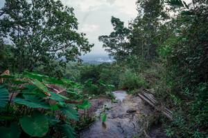 BIB: 
                            <button type="button" onclick="openModal(25666614)" class="btn btn-primary btn-sm float-right btn-popup" data-toggle="modal" data-target=".modal-high-quality">
                        <i class="fas fa-shopping-cart"></i> Add to Cart
                    </button>
                                            <button type="button" onclick="isThisMe(25666614, true)" class="btn btn-success btn-sm float-right btn-popup btn-isme hidden" data-toggle="tooltip" data-placement="bottom" title="นี่คือรูปของคุณใช่ไหม คลิกที่นี่เพื่อเอาเข้าอัลบั้ม">
                        <i class="fas fa-plus"></i> Add to album
                    </button>
                    <button type="button" onclick="isThisMe(25666614, false)" class="btn btn-warning btn-sm float-right btn-popup btn-isnotme hidden">
                        <i class="fas fa-ban"></i> Remove from album
                    </button>