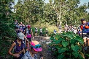 BIB: 
                            <button type="button" onclick="openModal(25664843)" class="btn btn-primary btn-sm float-right btn-popup" data-toggle="modal" data-target=".modal-high-quality">
                        <i class="fas fa-shopping-cart"></i> Add to Cart
                    </button>
                                            <button type="button" onclick="isThisMe(25664843, true)" class="btn btn-success btn-sm float-right btn-popup btn-isme hidden" data-toggle="tooltip" data-placement="bottom" title="นี่คือรูปของคุณใช่ไหม คลิกที่นี่เพื่อเอาเข้าอัลบั้ม">
                        <i class="fas fa-plus"></i> Add to album
                    </button>
                    <button type="button" onclick="isThisMe(25664843, false)" class="btn btn-warning btn-sm float-right btn-popup btn-isnotme hidden">
                        <i class="fas fa-ban"></i> Remove from album
                    </button>