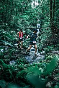 BIB: 
                            <button type="button" onclick="openModal(25345044)" class="btn btn-primary btn-sm float-right btn-popup" data-toggle="modal" data-target=".modal-high-quality">
                        <i class="fas fa-shopping-cart"></i> Add to Cart
                    </button>
                                            <button type="button" onclick="isThisMe(25345044, true)" class="btn btn-success btn-sm float-right btn-popup btn-isme hidden" data-toggle="tooltip" data-placement="bottom" title="นี่คือรูปของคุณใช่ไหม คลิกที่นี่เพื่อเอาเข้าอัลบั้ม">
                        <i class="fas fa-plus"></i> Add to album
                    </button>
                    <button type="button" onclick="isThisMe(25345044, false)" class="btn btn-warning btn-sm float-right btn-popup btn-isnotme hidden">
                        <i class="fas fa-ban"></i> Remove from album
                    </button>