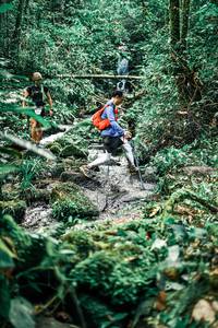 BIB: 
                            <button type="button" onclick="openModal(25344419)" class="btn btn-primary btn-sm float-right btn-popup" data-toggle="modal" data-target=".modal-high-quality">
                        <i class="fas fa-shopping-cart"></i> Add to Cart
                    </button>
                                            <button type="button" onclick="isThisMe(25344419, true)" class="btn btn-success btn-sm float-right btn-popup btn-isme hidden" data-toggle="tooltip" data-placement="bottom" title="นี่คือรูปของคุณใช่ไหม คลิกที่นี่เพื่อเอาเข้าอัลบั้ม">
                        <i class="fas fa-plus"></i> Add to album
                    </button>
                    <button type="button" onclick="isThisMe(25344419, false)" class="btn btn-warning btn-sm float-right btn-popup btn-isnotme hidden">
                        <i class="fas fa-ban"></i> Remove from album
                    </button>