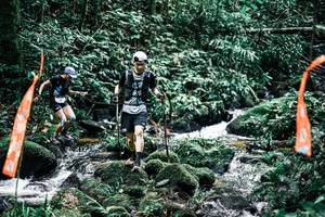 BIB: 
                            <button type="button" onclick="openModal(25294670)" class="btn btn-primary btn-sm float-right btn-popup" data-toggle="modal" data-target=".modal-high-quality">
                        <i class="fas fa-shopping-cart"></i> Add to Cart
                    </button>
                                            <button type="button" onclick="isThisMe(25294670, true)" class="btn btn-success btn-sm float-right btn-popup btn-isme hidden" data-toggle="tooltip" data-placement="bottom" title="นี่คือรูปของคุณใช่ไหม คลิกที่นี่เพื่อเอาเข้าอัลบั้ม">
                        <i class="fas fa-plus"></i> Add to album
                    </button>
                    <button type="button" onclick="isThisMe(25294670, false)" class="btn btn-warning btn-sm float-right btn-popup btn-isnotme hidden">
                        <i class="fas fa-ban"></i> Remove from album
                    </button>