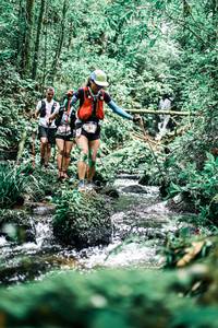 BIB: 
                            <button type="button" onclick="openModal(25296109)" class="btn btn-primary btn-sm float-right btn-popup" data-toggle="modal" data-target=".modal-high-quality">
                        <i class="fas fa-shopping-cart"></i> Add to Cart
                    </button>
                                            <button type="button" onclick="isThisMe(25296109, true)" class="btn btn-success btn-sm float-right btn-popup btn-isme hidden" data-toggle="tooltip" data-placement="bottom" title="นี่คือรูปของคุณใช่ไหม คลิกที่นี่เพื่อเอาเข้าอัลบั้ม">
                        <i class="fas fa-plus"></i> Add to album
                    </button>
                    <button type="button" onclick="isThisMe(25296109, false)" class="btn btn-warning btn-sm float-right btn-popup btn-isnotme hidden">
                        <i class="fas fa-ban"></i> Remove from album
                    </button>