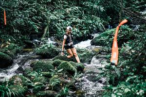 BIB: 
                            <button type="button" onclick="openModal(25294598)" class="btn btn-primary btn-sm float-right btn-popup" data-toggle="modal" data-target=".modal-high-quality">
                        <i class="fas fa-shopping-cart"></i> Add to Cart
                    </button>
                                            <button type="button" onclick="isThisMe(25294598, true)" class="btn btn-success btn-sm float-right btn-popup btn-isme hidden" data-toggle="tooltip" data-placement="bottom" title="นี่คือรูปของคุณใช่ไหม คลิกที่นี่เพื่อเอาเข้าอัลบั้ม">
                        <i class="fas fa-plus"></i> Add to album
                    </button>
                    <button type="button" onclick="isThisMe(25294598, false)" class="btn btn-warning btn-sm float-right btn-popup btn-isnotme hidden">
                        <i class="fas fa-ban"></i> Remove from album
                    </button>