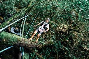 BIB: 
                            <button type="button" onclick="openModal(25296275)" class="btn btn-primary btn-sm float-right btn-popup" data-toggle="modal" data-target=".modal-high-quality">
                        <i class="fas fa-shopping-cart"></i> Add to Cart
                    </button>
                                            <button type="button" onclick="isThisMe(25296275, true)" class="btn btn-success btn-sm float-right btn-popup btn-isme hidden" data-toggle="tooltip" data-placement="bottom" title="นี่คือรูปของคุณใช่ไหม คลิกที่นี่เพื่อเอาเข้าอัลบั้ม">
                        <i class="fas fa-plus"></i> Add to album
                    </button>
                    <button type="button" onclick="isThisMe(25296275, false)" class="btn btn-warning btn-sm float-right btn-popup btn-isnotme hidden">
                        <i class="fas fa-ban"></i> Remove from album
                    </button>