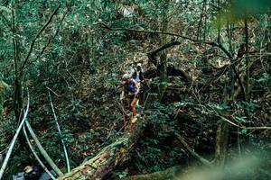 BIB: 
                            <button type="button" onclick="openModal(25296245)" class="btn btn-primary btn-sm float-right btn-popup" data-toggle="modal" data-target=".modal-high-quality">
                        <i class="fas fa-shopping-cart"></i> Add to Cart
                    </button>
                                            <button type="button" onclick="isThisMe(25296245, true)" class="btn btn-success btn-sm float-right btn-popup btn-isme hidden" data-toggle="tooltip" data-placement="bottom" title="นี่คือรูปของคุณใช่ไหม คลิกที่นี่เพื่อเอาเข้าอัลบั้ม">
                        <i class="fas fa-plus"></i> Add to album
                    </button>
                    <button type="button" onclick="isThisMe(25296245, false)" class="btn btn-warning btn-sm float-right btn-popup btn-isnotme hidden">
                        <i class="fas fa-ban"></i> Remove from album
                    </button>