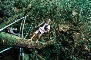 BIB: 
                            <button type="button" onclick="openModal(25296273)" class="btn btn-primary btn-sm float-right btn-popup" data-toggle="modal" data-target=".modal-high-quality">
                        <i class="fas fa-shopping-cart"></i> Add to Cart
                    </button>
                                            <button type="button" onclick="isThisMe(25296273, true)" class="btn btn-success btn-sm float-right btn-popup btn-isme hidden" data-toggle="tooltip" data-placement="bottom" title="นี่คือรูปของคุณใช่ไหม คลิกที่นี่เพื่อเอาเข้าอัลบั้ม">
                        <i class="fas fa-plus"></i> Add to album
                    </button>
                    <button type="button" onclick="isThisMe(25296273, false)" class="btn btn-warning btn-sm float-right btn-popup btn-isnotme hidden">
                        <i class="fas fa-ban"></i> Remove from album
                    </button>