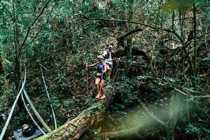 BIB: 
                            <button type="button" onclick="openModal(25296246)" class="btn btn-primary btn-sm float-right btn-popup" data-toggle="modal" data-target=".modal-high-quality">
                        <i class="fas fa-shopping-cart"></i> Add to Cart
                    </button>
                                            <button type="button" onclick="isThisMe(25296246, true)" class="btn btn-success btn-sm float-right btn-popup btn-isme hidden" data-toggle="tooltip" data-placement="bottom" title="นี่คือรูปของคุณใช่ไหม คลิกที่นี่เพื่อเอาเข้าอัลบั้ม">
                        <i class="fas fa-plus"></i> Add to album
                    </button>
                    <button type="button" onclick="isThisMe(25296246, false)" class="btn btn-warning btn-sm float-right btn-popup btn-isnotme hidden">
                        <i class="fas fa-ban"></i> Remove from album
                    </button>