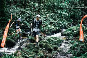 BIB: 
                            <button type="button" onclick="openModal(25294672)" class="btn btn-primary btn-sm float-right btn-popup" data-toggle="modal" data-target=".modal-high-quality">
                        <i class="fas fa-shopping-cart"></i> Add to Cart
                    </button>
                                            <button type="button" onclick="isThisMe(25294672, true)" class="btn btn-success btn-sm float-right btn-popup btn-isme hidden" data-toggle="tooltip" data-placement="bottom" title="นี่คือรูปของคุณใช่ไหม คลิกที่นี่เพื่อเอาเข้าอัลบั้ม">
                        <i class="fas fa-plus"></i> Add to album
                    </button>
                    <button type="button" onclick="isThisMe(25294672, false)" class="btn btn-warning btn-sm float-right btn-popup btn-isnotme hidden">
                        <i class="fas fa-ban"></i> Remove from album
                    </button>