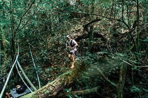 BIB: 
                            <button type="button" onclick="openModal(25296271)" class="btn btn-primary btn-sm float-right btn-popup" data-toggle="modal" data-target=".modal-high-quality">
                        <i class="fas fa-shopping-cart"></i> Add to Cart
                    </button>
                                            <button type="button" onclick="isThisMe(25296271, true)" class="btn btn-success btn-sm float-right btn-popup btn-isme hidden" data-toggle="tooltip" data-placement="bottom" title="นี่คือรูปของคุณใช่ไหม คลิกที่นี่เพื่อเอาเข้าอัลบั้ม">
                        <i class="fas fa-plus"></i> Add to album
                    </button>
                    <button type="button" onclick="isThisMe(25296271, false)" class="btn btn-warning btn-sm float-right btn-popup btn-isnotme hidden">
                        <i class="fas fa-ban"></i> Remove from album
                    </button>