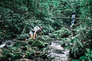 BIB: 
                            <button type="button" onclick="openModal(25339399)" class="btn btn-primary btn-sm float-right btn-popup" data-toggle="modal" data-target=".modal-high-quality">
                        <i class="fas fa-shopping-cart"></i> Add to Cart
                    </button>
                                            <button type="button" onclick="isThisMe(25339399, true)" class="btn btn-success btn-sm float-right btn-popup btn-isme hidden" data-toggle="tooltip" data-placement="bottom" title="นี่คือรูปของคุณใช่ไหม คลิกที่นี่เพื่อเอาเข้าอัลบั้ม">
                        <i class="fas fa-plus"></i> Add to album
                    </button>
                    <button type="button" onclick="isThisMe(25339399, false)" class="btn btn-warning btn-sm float-right btn-popup btn-isnotme hidden">
                        <i class="fas fa-ban"></i> Remove from album
                    </button>