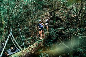 BIB: 
                            <button type="button" onclick="openModal(25296247)" class="btn btn-primary btn-sm float-right btn-popup" data-toggle="modal" data-target=".modal-high-quality">
                        <i class="fas fa-shopping-cart"></i> Add to Cart
                    </button>
                                            <button type="button" onclick="isThisMe(25296247, true)" class="btn btn-success btn-sm float-right btn-popup btn-isme hidden" data-toggle="tooltip" data-placement="bottom" title="นี่คือรูปของคุณใช่ไหม คลิกที่นี่เพื่อเอาเข้าอัลบั้ม">
                        <i class="fas fa-plus"></i> Add to album
                    </button>
                    <button type="button" onclick="isThisMe(25296247, false)" class="btn btn-warning btn-sm float-right btn-popup btn-isnotme hidden">
                        <i class="fas fa-ban"></i> Remove from album
                    </button>