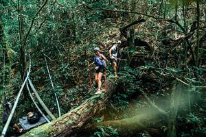 BIB: 
                            <button type="button" onclick="openModal(25296256)" class="btn btn-primary btn-sm float-right btn-popup" data-toggle="modal" data-target=".modal-high-quality">
                        <i class="fas fa-shopping-cart"></i> Add to Cart
                    </button>
                                            <button type="button" onclick="isThisMe(25296256, true)" class="btn btn-success btn-sm float-right btn-popup btn-isme hidden" data-toggle="tooltip" data-placement="bottom" title="นี่คือรูปของคุณใช่ไหม คลิกที่นี่เพื่อเอาเข้าอัลบั้ม">
                        <i class="fas fa-plus"></i> Add to album
                    </button>
                    <button type="button" onclick="isThisMe(25296256, false)" class="btn btn-warning btn-sm float-right btn-popup btn-isnotme hidden">
                        <i class="fas fa-ban"></i> Remove from album
                    </button>