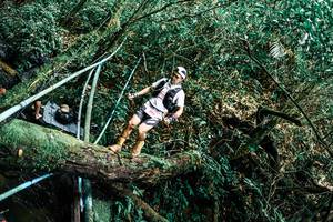 BIB: 
                            <button type="button" onclick="openModal(25296276)" class="btn btn-primary btn-sm float-right btn-popup" data-toggle="modal" data-target=".modal-high-quality">
                        <i class="fas fa-shopping-cart"></i> Add to Cart
                    </button>
                                            <button type="button" onclick="isThisMe(25296276, true)" class="btn btn-success btn-sm float-right btn-popup btn-isme hidden" data-toggle="tooltip" data-placement="bottom" title="นี่คือรูปของคุณใช่ไหม คลิกที่นี่เพื่อเอาเข้าอัลบั้ม">
                        <i class="fas fa-plus"></i> Add to album
                    </button>
                    <button type="button" onclick="isThisMe(25296276, false)" class="btn btn-warning btn-sm float-right btn-popup btn-isnotme hidden">
                        <i class="fas fa-ban"></i> Remove from album
                    </button>