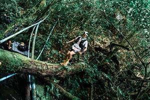 BIB: 
                            <button type="button" onclick="openModal(25296272)" class="btn btn-primary btn-sm float-right btn-popup" data-toggle="modal" data-target=".modal-high-quality">
                        <i class="fas fa-shopping-cart"></i> Add to Cart
                    </button>
                                            <button type="button" onclick="isThisMe(25296272, true)" class="btn btn-success btn-sm float-right btn-popup btn-isme hidden" data-toggle="tooltip" data-placement="bottom" title="นี่คือรูปของคุณใช่ไหม คลิกที่นี่เพื่อเอาเข้าอัลบั้ม">
                        <i class="fas fa-plus"></i> Add to album
                    </button>
                    <button type="button" onclick="isThisMe(25296272, false)" class="btn btn-warning btn-sm float-right btn-popup btn-isnotme hidden">
                        <i class="fas fa-ban"></i> Remove from album
                    </button>