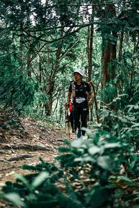 BIB: 
                            <button type="button" onclick="openModal(25355005)" class="btn btn-primary btn-sm float-right btn-popup" data-toggle="modal" data-target=".modal-high-quality">
                        <i class="fas fa-shopping-cart"></i> Add to Cart
                    </button>
                                            <button type="button" onclick="isThisMe(25355005, true)" class="btn btn-success btn-sm float-right btn-popup btn-isme hidden" data-toggle="tooltip" data-placement="bottom" title="นี่คือรูปของคุณใช่ไหม คลิกที่นี่เพื่อเอาเข้าอัลบั้ม">
                        <i class="fas fa-plus"></i> Add to album
                    </button>
                    <button type="button" onclick="isThisMe(25355005, false)" class="btn btn-warning btn-sm float-right btn-popup btn-isnotme hidden">
                        <i class="fas fa-ban"></i> Remove from album
                    </button>