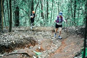 BIB: 
                            <button type="button" onclick="openModal(25653140)" class="btn btn-primary btn-sm float-right btn-popup" data-toggle="modal" data-target=".modal-high-quality">
                        <i class="fas fa-shopping-cart"></i> Add to Cart
                    </button>
                                            <button type="button" onclick="isThisMe(25653140, true)" class="btn btn-success btn-sm float-right btn-popup btn-isme hidden" data-toggle="tooltip" data-placement="bottom" title="นี่คือรูปของคุณใช่ไหม คลิกที่นี่เพื่อเอาเข้าอัลบั้ม">
                        <i class="fas fa-plus"></i> Add to album
                    </button>
                    <button type="button" onclick="isThisMe(25653140, false)" class="btn btn-warning btn-sm float-right btn-popup btn-isnotme hidden">
                        <i class="fas fa-ban"></i> Remove from album
                    </button>