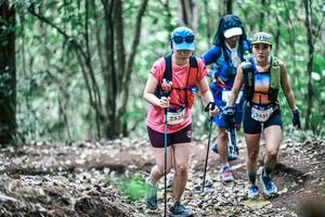 BIB: 
                            <button type="button" onclick="openModal(25572176)" class="btn btn-primary btn-sm float-right btn-popup" data-toggle="modal" data-target=".modal-high-quality">
                        <i class="fas fa-shopping-cart"></i> Add to Cart
                    </button>
                                            <button type="button" onclick="isThisMe(25572176, true)" class="btn btn-success btn-sm float-right btn-popup btn-isme hidden" data-toggle="tooltip" data-placement="bottom" title="นี่คือรูปของคุณใช่ไหม คลิกที่นี่เพื่อเอาเข้าอัลบั้ม">
                        <i class="fas fa-plus"></i> Add to album
                    </button>
                    <button type="button" onclick="isThisMe(25572176, false)" class="btn btn-warning btn-sm float-right btn-popup btn-isnotme hidden">
                        <i class="fas fa-ban"></i> Remove from album
                    </button>