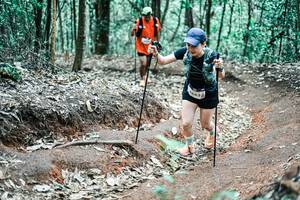 BIB: 
                            <button type="button" onclick="openModal(25653306)" class="btn btn-primary btn-sm float-right btn-popup" data-toggle="modal" data-target=".modal-high-quality">
                        <i class="fas fa-shopping-cart"></i> Add to Cart
                    </button>
                                            <button type="button" onclick="isThisMe(25653306, true)" class="btn btn-success btn-sm float-right btn-popup btn-isme hidden" data-toggle="tooltip" data-placement="bottom" title="นี่คือรูปของคุณใช่ไหม คลิกที่นี่เพื่อเอาเข้าอัลบั้ม">
                        <i class="fas fa-plus"></i> Add to album
                    </button>
                    <button type="button" onclick="isThisMe(25653306, false)" class="btn btn-warning btn-sm float-right btn-popup btn-isnotme hidden">
                        <i class="fas fa-ban"></i> Remove from album
                    </button>