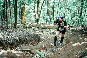 BIB: 
                            <button type="button" onclick="openModal(25653376)" class="btn btn-primary btn-sm float-right btn-popup" data-toggle="modal" data-target=".modal-high-quality">
                        <i class="fas fa-shopping-cart"></i> Add to Cart
                    </button>
                                            <button type="button" onclick="isThisMe(25653376, true)" class="btn btn-success btn-sm float-right btn-popup btn-isme hidden" data-toggle="tooltip" data-placement="bottom" title="นี่คือรูปของคุณใช่ไหม คลิกที่นี่เพื่อเอาเข้าอัลบั้ม">
                        <i class="fas fa-plus"></i> Add to album
                    </button>
                    <button type="button" onclick="isThisMe(25653376, false)" class="btn btn-warning btn-sm float-right btn-popup btn-isnotme hidden">
                        <i class="fas fa-ban"></i> Remove from album
                    </button>