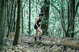 BIB: 
                            <button type="button" onclick="openModal(25544899)" class="btn btn-primary btn-sm float-right btn-popup" data-toggle="modal" data-target=".modal-high-quality">
                        <i class="fas fa-shopping-cart"></i> Add to Cart
                    </button>
                                            <button type="button" onclick="isThisMe(25544899, true)" class="btn btn-success btn-sm float-right btn-popup btn-isme hidden" data-toggle="tooltip" data-placement="bottom" title="นี่คือรูปของคุณใช่ไหม คลิกที่นี่เพื่อเอาเข้าอัลบั้ม">
                        <i class="fas fa-plus"></i> Add to album
                    </button>
                    <button type="button" onclick="isThisMe(25544899, false)" class="btn btn-warning btn-sm float-right btn-popup btn-isnotme hidden">
                        <i class="fas fa-ban"></i> Remove from album
                    </button>