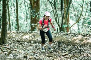 BIB: 
                            <button type="button" onclick="openModal(25545696)" class="btn btn-primary btn-sm float-right btn-popup" data-toggle="modal" data-target=".modal-high-quality">
                        <i class="fas fa-shopping-cart"></i> Add to Cart
                    </button>
                                            <button type="button" onclick="isThisMe(25545696, true)" class="btn btn-success btn-sm float-right btn-popup btn-isme hidden" data-toggle="tooltip" data-placement="bottom" title="นี่คือรูปของคุณใช่ไหม คลิกที่นี่เพื่อเอาเข้าอัลบั้ม">
                        <i class="fas fa-plus"></i> Add to album
                    </button>
                    <button type="button" onclick="isThisMe(25545696, false)" class="btn btn-warning btn-sm float-right btn-popup btn-isnotme hidden">
                        <i class="fas fa-ban"></i> Remove from album
                    </button>