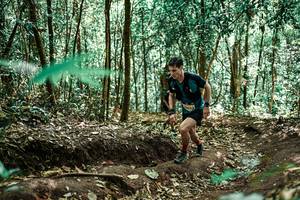 BIB: 
                            <button type="button" onclick="openModal(25538269)" class="btn btn-primary btn-sm float-right btn-popup" data-toggle="modal" data-target=".modal-high-quality">
                        <i class="fas fa-shopping-cart"></i> Add to Cart
                    </button>
                                            <button type="button" onclick="isThisMe(25538269, true)" class="btn btn-success btn-sm float-right btn-popup btn-isme hidden" data-toggle="tooltip" data-placement="bottom" title="นี่คือรูปของคุณใช่ไหม คลิกที่นี่เพื่อเอาเข้าอัลบั้ม">
                        <i class="fas fa-plus"></i> Add to album
                    </button>
                    <button type="button" onclick="isThisMe(25538269, false)" class="btn btn-warning btn-sm float-right btn-popup btn-isnotme hidden">
                        <i class="fas fa-ban"></i> Remove from album
                    </button>