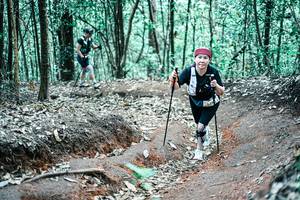 BIB: 
                            <button type="button" onclick="openModal(25653164)" class="btn btn-primary btn-sm float-right btn-popup" data-toggle="modal" data-target=".modal-high-quality">
                        <i class="fas fa-shopping-cart"></i> Add to Cart
                    </button>
                                            <button type="button" onclick="isThisMe(25653164, true)" class="btn btn-success btn-sm float-right btn-popup btn-isme hidden" data-toggle="tooltip" data-placement="bottom" title="นี่คือรูปของคุณใช่ไหม คลิกที่นี่เพื่อเอาเข้าอัลบั้ม">
                        <i class="fas fa-plus"></i> Add to album
                    </button>
                    <button type="button" onclick="isThisMe(25653164, false)" class="btn btn-warning btn-sm float-right btn-popup btn-isnotme hidden">
                        <i class="fas fa-ban"></i> Remove from album
                    </button>