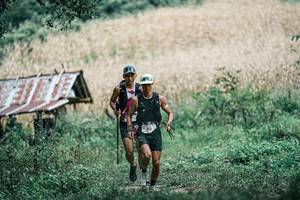 BIB: 
                            <button type="button" onclick="openModal(25249768)" class="btn btn-primary btn-sm float-right btn-popup" data-toggle="modal" data-target=".modal-high-quality">
                        <i class="fas fa-shopping-cart"></i> Add to Cart
                    </button>
                                            <button type="button" onclick="isThisMe(25249768, true)" class="btn btn-success btn-sm float-right btn-popup btn-isme hidden" data-toggle="tooltip" data-placement="bottom" title="นี่คือรูปของคุณใช่ไหม คลิกที่นี่เพื่อเอาเข้าอัลบั้ม">
                        <i class="fas fa-plus"></i> Add to album
                    </button>
                    <button type="button" onclick="isThisMe(25249768, false)" class="btn btn-warning btn-sm float-right btn-popup btn-isnotme hidden">
                        <i class="fas fa-ban"></i> Remove from album
                    </button>