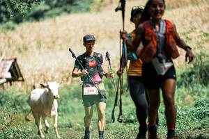 BIB: 
                            <button type="button" onclick="openModal(25255392)" class="btn btn-primary btn-sm float-right btn-popup" data-toggle="modal" data-target=".modal-high-quality">
                        <i class="fas fa-shopping-cart"></i> Add to Cart
                    </button>
                                            <button type="button" onclick="isThisMe(25255392, true)" class="btn btn-success btn-sm float-right btn-popup btn-isme hidden" data-toggle="tooltip" data-placement="bottom" title="นี่คือรูปของคุณใช่ไหม คลิกที่นี่เพื่อเอาเข้าอัลบั้ม">
                        <i class="fas fa-plus"></i> Add to album
                    </button>
                    <button type="button" onclick="isThisMe(25255392, false)" class="btn btn-warning btn-sm float-right btn-popup btn-isnotme hidden">
                        <i class="fas fa-ban"></i> Remove from album
                    </button>