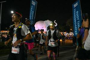 BIB: 
                            <button type="button" onclick="openModal(25775660)" class="btn btn-primary btn-sm float-right btn-popup" data-toggle="modal" data-target=".modal-high-quality">
                        <i class="fas fa-shopping-cart"></i> Add to Cart
                    </button>
                                            <button type="button" onclick="isThisMe(25775660, true)" class="btn btn-success btn-sm float-right btn-popup btn-isme hidden" data-toggle="tooltip" data-placement="bottom" title="นี่คือรูปของคุณใช่ไหม คลิกที่นี่เพื่อเอาเข้าอัลบั้ม">
                        <i class="fas fa-plus"></i> Add to album
                    </button>
                    <button type="button" onclick="isThisMe(25775660, false)" class="btn btn-warning btn-sm float-right btn-popup btn-isnotme hidden">
                        <i class="fas fa-ban"></i> Remove from album
                    </button>