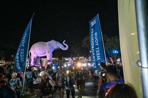 BIB: 
                            <button type="button" onclick="openModal(25775596)" class="btn btn-primary btn-sm float-right btn-popup" data-toggle="modal" data-target=".modal-high-quality">
                        <i class="fas fa-shopping-cart"></i> Add to Cart
                    </button>
                                            <button type="button" onclick="isThisMe(25775596, true)" class="btn btn-success btn-sm float-right btn-popup btn-isme hidden" data-toggle="tooltip" data-placement="bottom" title="นี่คือรูปของคุณใช่ไหม คลิกที่นี่เพื่อเอาเข้าอัลบั้ม">
                        <i class="fas fa-plus"></i> Add to album
                    </button>
                    <button type="button" onclick="isThisMe(25775596, false)" class="btn btn-warning btn-sm float-right btn-popup btn-isnotme hidden">
                        <i class="fas fa-ban"></i> Remove from album
                    </button>