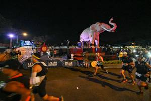 BIB: 
                            <button type="button" onclick="openModal(25775254)" class="btn btn-primary btn-sm float-right btn-popup" data-toggle="modal" data-target=".modal-high-quality">
                        <i class="fas fa-shopping-cart"></i> Add to Cart
                    </button>
                                            <button type="button" onclick="isThisMe(25775254, true)" class="btn btn-success btn-sm float-right btn-popup btn-isme hidden" data-toggle="tooltip" data-placement="bottom" title="นี่คือรูปของคุณใช่ไหม คลิกที่นี่เพื่อเอาเข้าอัลบั้ม">
                        <i class="fas fa-plus"></i> Add to album
                    </button>
                    <button type="button" onclick="isThisMe(25775254, false)" class="btn btn-warning btn-sm float-right btn-popup btn-isnotme hidden">
                        <i class="fas fa-ban"></i> Remove from album
                    </button>